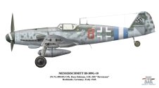 Bf109G10-Dahmen.jpg