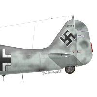 focke-wulf-fw-190a-6-hptm-friedrich-karl-muller-jg-300-1943.jpg